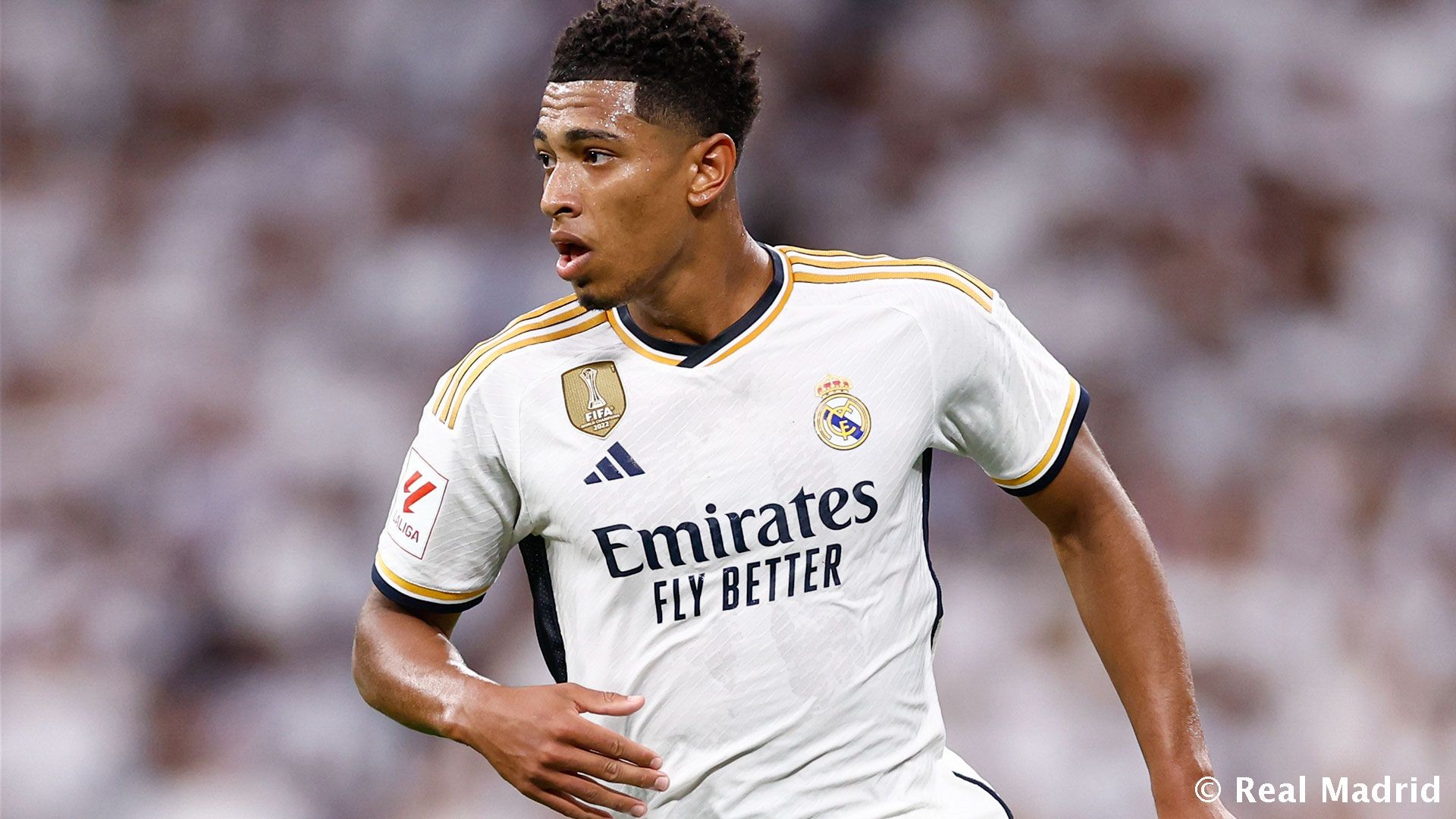 曼纳：因西涅是一名伟大的球员，但那不勒斯不会召回他（曼纳：因西涅实力非凡，但那不勒斯无意将其召回）